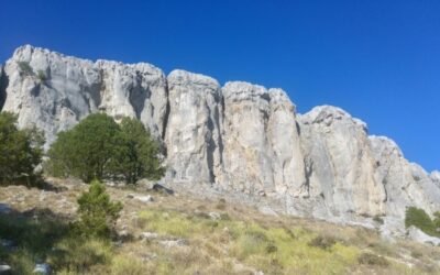 Sin acuerdo en los trílogos de la PAC: una mala noticia, pero no un drama. Por Eduardo Moyano Estrada