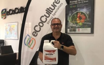 Ecoculture presenta un nuevo concepto para mejorar la absorción de hierro