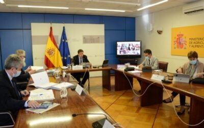 Plana confía en reunir a las CC.AA. en la primera quincena de julio para el acuerdo político sobre la PAC