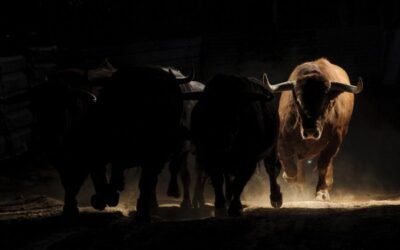 ASAJA-Sevilla celebra una jornada sobre la ganadería de lidia en la nueva etapa post-covid