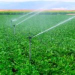 Proponen que los regantes se beneficien de una moratoria en la aplicación de la nueva tarifa eléctrica para no asumir más sobrecostes