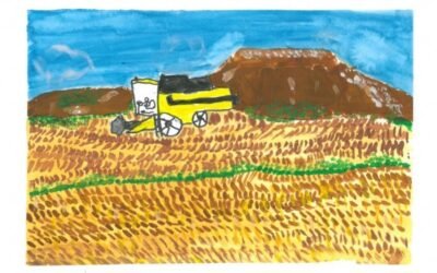 Cooperativas prevé 19,5 Mt de cosecha de cereal de invierno en la campaña 2021/22