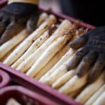 La campaña del Espárrago de Navarra recupera su optimismo y registra un incremento del 7% en fresco