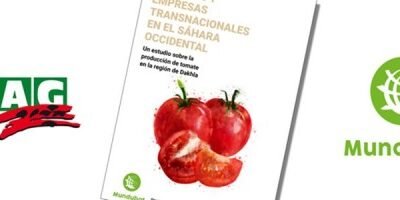 COAG y Mundubat denuncian la “megápolis del tomate” que Marruecos construye ilegalmente en Dakhka, Sáhara Occidental