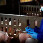 El Consejo Andaluz de Veterinarios cumple 25 años y prepara varias acciones para poner en valor la labor que realizan