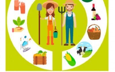 Cooperativas debate los retos de estas entidades asociativas agro-alimentarias para la próxima década