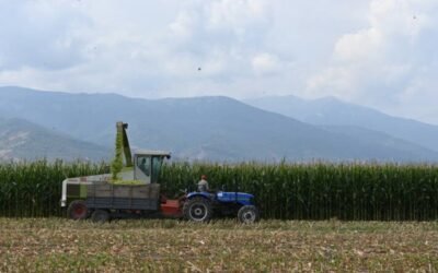 El Índice FAO de precios mundiales de los alimentos básicos aceleró su ritmo de subida en mayo