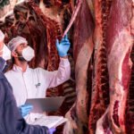 Dehesa Grande aprueba su primer Plan Estratégico 2021-2025 y consolida su crecimiento sostenible y competitivo