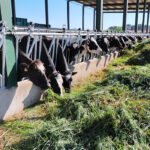 “Desde INLAC trabajamos para garantizar que el sector lácteo se consolide como motor económico y de empleo rural”