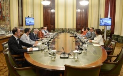 Francia, Italia y España pedirán a la CE prorrogar hasta 2022 la validez de las autorizaciones de plantación de vid no utilizadas en 2020