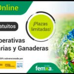 Cursos gratuitos del Ministerio de Trabajo y Economía Social para convertirte en un especialista de las cooperativas agrarias