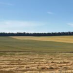 La PAC de la reconstrucción