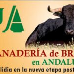 Jornada de debate sobre la ganadería de bravo en la nueva etapa post-covid