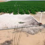 El pedrisco sigue arrasando cultivos por media España y ya piden que se declare zona catastrófica las zonas afectadas