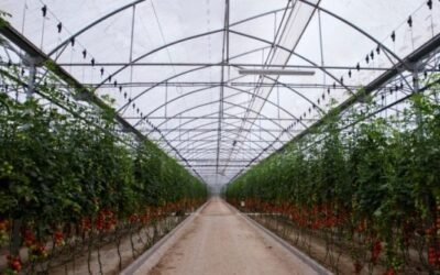 Nufarm firma un acuerdo con Futureco para la distribución del bioinsecticida Moscano