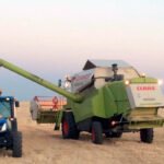 El marzo más seco del siglo merma la cosecha andaluza de trigo duro, que se reduce en más de un 21%