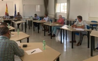 La Mesa Nacional del Ajo prevé una recuperación de los precios, en una campaña 2021/22 iniciada por debajo de costes