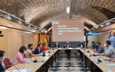 Aragón y Navarra ven irrenunciable eliminar los derechos individuales basados en referencias históricas del PEPAC 2023/27