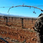 Lanzan una solución para agilizar las ayudas de la PAC desde el móvil y reducir el número y duración de las visitas de los técnicos