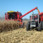 Sigue la tendencia a la baja de los precios mayoristas de los cereales aunque se frena su descenso