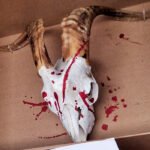 Indignación por las presuntas amenazas recibidas por el ministro Planas posiblemente vinculadas a la protección del lobo