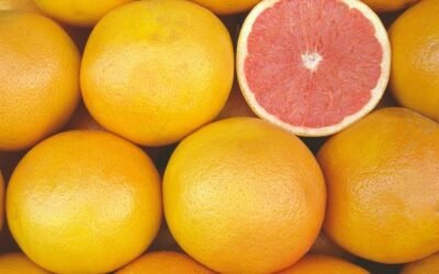 La interprofesional Ailimpo publica los contratos de compra-venta de limones y pomelos