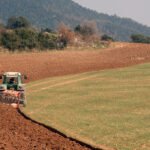 Un Plan Renove que sigue sin tener en cuenta la Ley de modernización agraria ni primar a las explotaciones agrarias prioritarias