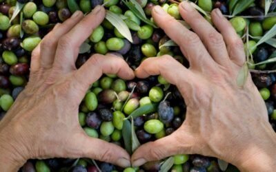 El consumo mundial de aceite de oliva superará a la producción en 2020/21 por segunda campaña consecutiva