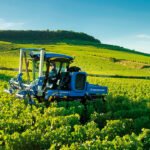 Todo el sector vitivinícola de CLM podrá solicitar la ayuda directa de 206 millones por las pérdidas sufridas por el Covid