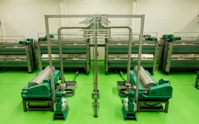 Ajuste de la temperatura del fruto de la aceituna antes de la molienda para la extracción del aceite de oliva. Estudio experimental y ensayos de plantas piloto