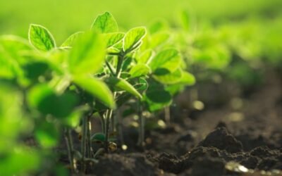 Bioibérica firma un acuerdo con Biome Makers para promover la salud del suelo