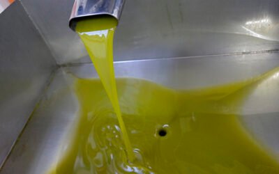 Luis Planas destaca el buen comportamiento del aceite de oliva