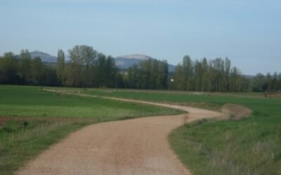 El MAPA pide a la CE que anticipe al 16 de octubre el pago del 70% de ayudas directas de la PAC 2021