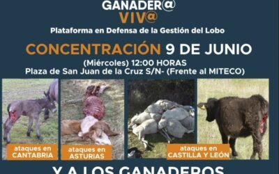 La Plataforma “Convivencia Lobo-Ganader@ Viv@” convoca una concentración el 9 de junio en Madrid