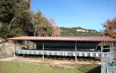 La CE propondrá eliminar progresivamente las jaulas para animales pese al escepticismo del sector