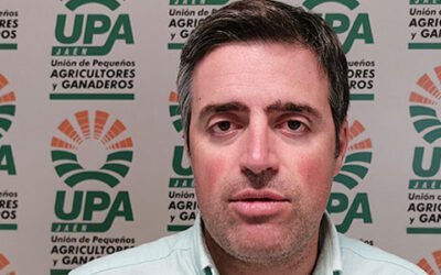 Cristóbal Cano (UPA): “El olivar es una joya ecológica que debemos mimar al máximo”