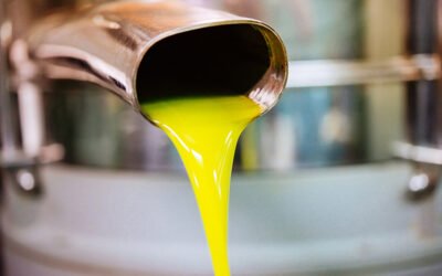 Calidad y procesos de elaboración de aceites de oliva vírgenes