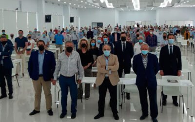 El volumen de negocio de la sección de aceite de Dcoop se situó en 475,39 millones de euros en 2020