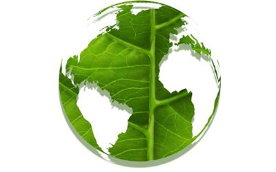 Día Mundial del Medio Ambiente: la Restauración de los Ecosistemas