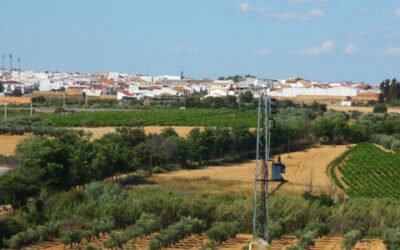 La Diputación de Huelva se compromete a adherirse a AEMO para impulsar el sector oleícola en la provincia