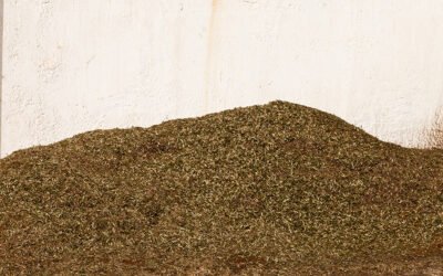 El proyecto Diverfarming consolida su comunidad de agricultores