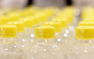 El 70% de los aceites de oliva que se consumen en el mundo se envasan en PET