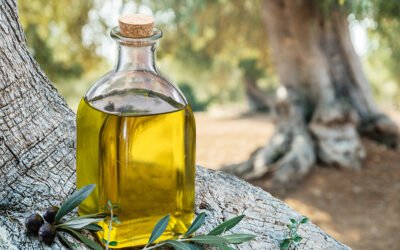 Aprobación del estudio de la cadena de valor del aceite de oliva virgen extra