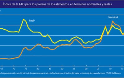 Los aceites y los cereales siguen marcando la subida de los precios de los alimentos a nivel mundial