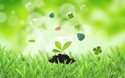 Estrategia integral climática del Grupo GEA