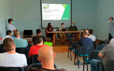 El Ifapa impulsa la excelencia en la elaboración de AOVE en la DOP Sierra de Segura