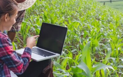 El sector agroalimentario lleva al pleno empleo a ingenieros agrónomos de Aragón, Navarra y el País Vasco
