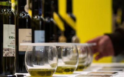 El precio del AOVE sube un 45% en Italia