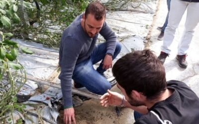 La iniciativa de formación de jóvenes agricultores CULTIVA contará con un millón de euros en 2021