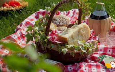 Merenda nell’Oliveta: una nueva experiencia para impulsar el oleoturismo en Italia